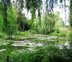 6 loại cây có thích cũng không nên trồng trong vườn nhà