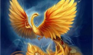 Người độc thân và biểu tượng phong thủy