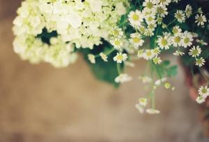 12 cách Phật dạy để sống đời an nhiên (phần 2)