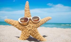 Tử vi Chủ nhật của 12 con giáp (19/7/2015)