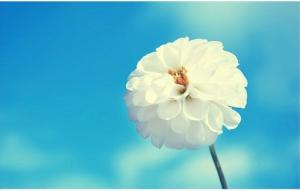 Tử vi thứ Bảy của 12 con giáp (18/7/2015)