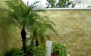 Bố trí tiểu cảnh hợp phong thủy cho ngôi nhà (phần 1)