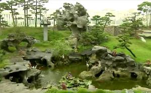 Bố trí tiểu cảnh hợp phong thủy cho ngôi nhà (phần cuối)