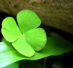 18 dấu hiệu báo vận may gõ cửa, gặp hên bất ngờ