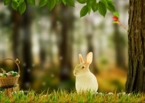 12 điều lý thú về các cung hoàng đạo