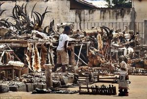 Khu chợ bày bán tâm linh công khai ở Tây Phi