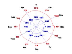Luận giải sao Thiên Cơ trong tử vi