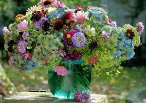 Tử vi tuần mới của 12 con giáp (14/9-20/9/2015)