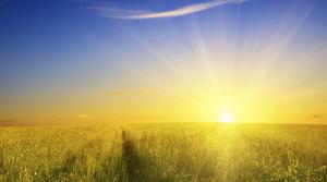 Cho biết tương lai qua thập thần của Tứ trụ (phần 2)