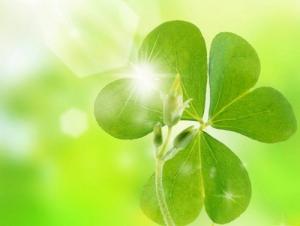 Chuyện tâm linh cảnh tỉnh con người (phần 2)