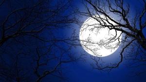 Sao Thái Âm chiếu mệnh, phúc phận một đời