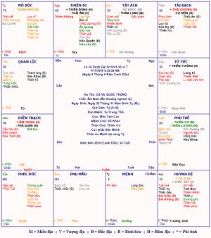 Luận giải lá số tử vi Vô Chính Diệu có một không hai (phần 1)