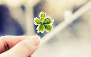 Những con giáp đồng hành cùng Thần May mắn trong tháng 9