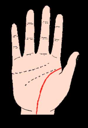 Infographic: Soi chỉ tay coi vận mệnh (P2)