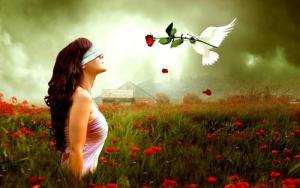 Phương pháp giúp đào hoa đến tay ngay trong 2016