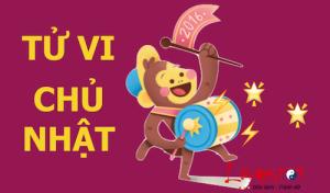 Tử vi Chủ Nhật của 12 con giáp (31/1/2016)