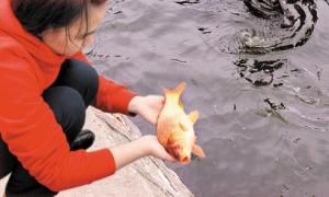 Văn khấn phóng sinh và những lưu ý đặc biệt cần chú ý