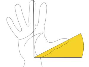 Xòe bàn tay đoán ngay ra tài vận