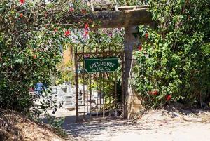 Học lỏm 2 homestay đẹp nhất Đà Lạt cách bố trí nhà tràn màu xanh