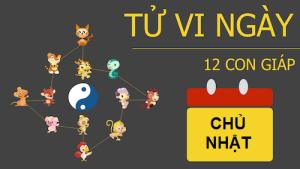 Tử vi Chủ nhật ngày 23/10/2016 của 12 con giáp