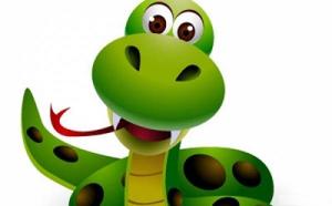 Giải mã quan hệ tam hình Dần Thân Tị