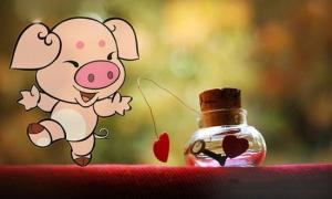 Hãy chọn một người tuổi Hợi để cả đời được sống trong hạnh phúc