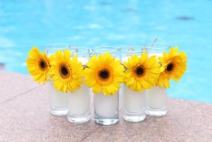 Vận trình của 12 chòm sao trong tiết Sương Giáng năm 2016