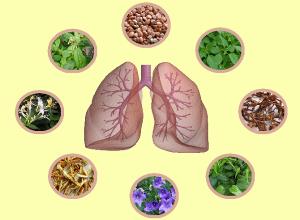 Xem ngày tốt xấu trị bách bệnh tiêu tan: Thứ Bảy 29/10/2016