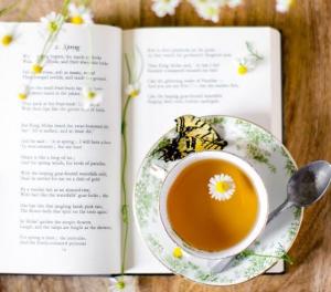 Tử vi thứ 2 ngày 10/10/2016 của 12 cung hoàng đạo