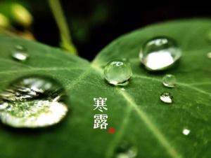 5 con giáp vận trình vụt sáng trong tiết khí Hàn Lộ 2016