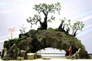 Thượng Thủy Thạch - Đá dùng làm hòn giả sơn mang tới sung túc, ấm no