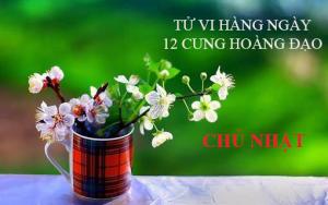 Tử vi Chủ Nhật ngày 9/10/2016 của 12 cung hoàng đạo