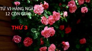 Tử vi Thứ 3 ngày 08/11/2016 của 12 con giáp