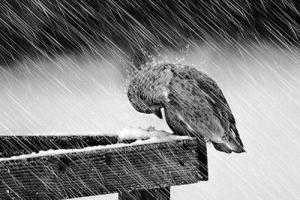 3 chòm sao có Diêm Vương tinh chiếu mệnh, đón sóng gió cuộc đời