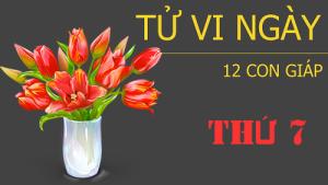 Tử vi thứ 7 ngày 19/11/2016 của 12 con giáp
