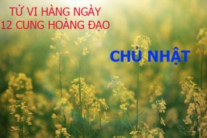 Tử vi Chủ nhật ngày 13/11/2016 của 12 cung hoàng đạo