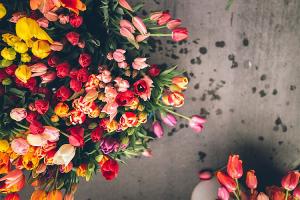 Tử vi thứ 2 ngày 21/11/2016 của 12 cung hoàng đạo