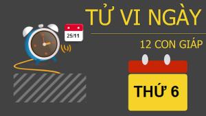Tử vi thứ 6 ngày 25/11/2016 của 12 con giáp