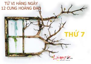 Tử vi thứ 7 ngày 19/11/2016 của 12 cung hoàng đạo
