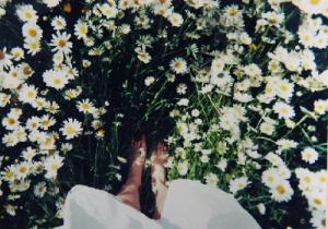 Tử vi thứ 4 ngày 23/11/2016 của 12 cung hoàng đạo