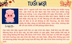 Tử vi sức khỏe năm 2017 của người tuổi Hợi