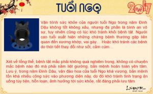 Tử vi sức khỏe năm 2017 của người tuổi Ngọ