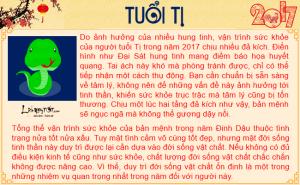 Tử vi sức khỏe năm 2017 của người tuổi Tị