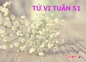 Tử vi tuần mới từ 12 - 18/12/2016 của 12 con giáp