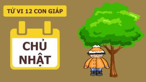Tử vi Chủ nhật ngày 13/11/2016 của 12 con giáp