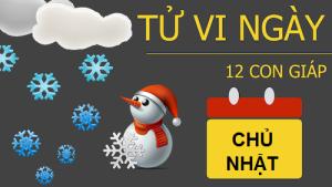 Tử vi Chủ Nhật ngày 18/12/2016 của 12 con giáp