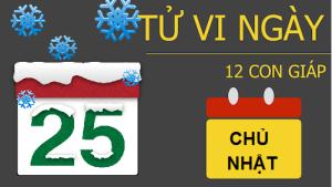 Tử vi Chủ Nhật ngày 25/12/2016 của 12 con giáp