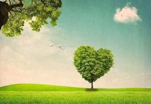 Đánh bay vận rủi, 3 chòm sao một bước lên tiên trong năm 2017