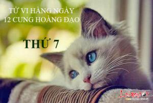 Tử vi thứ 7 ngày 24/12/2016 của 12 cung hoàng đạo
