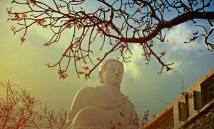 Những người không tin vào Phật thì cuộc đời sẽ ra sao?